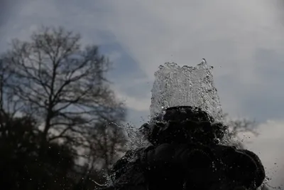 DSC_6911 (Large).JPG